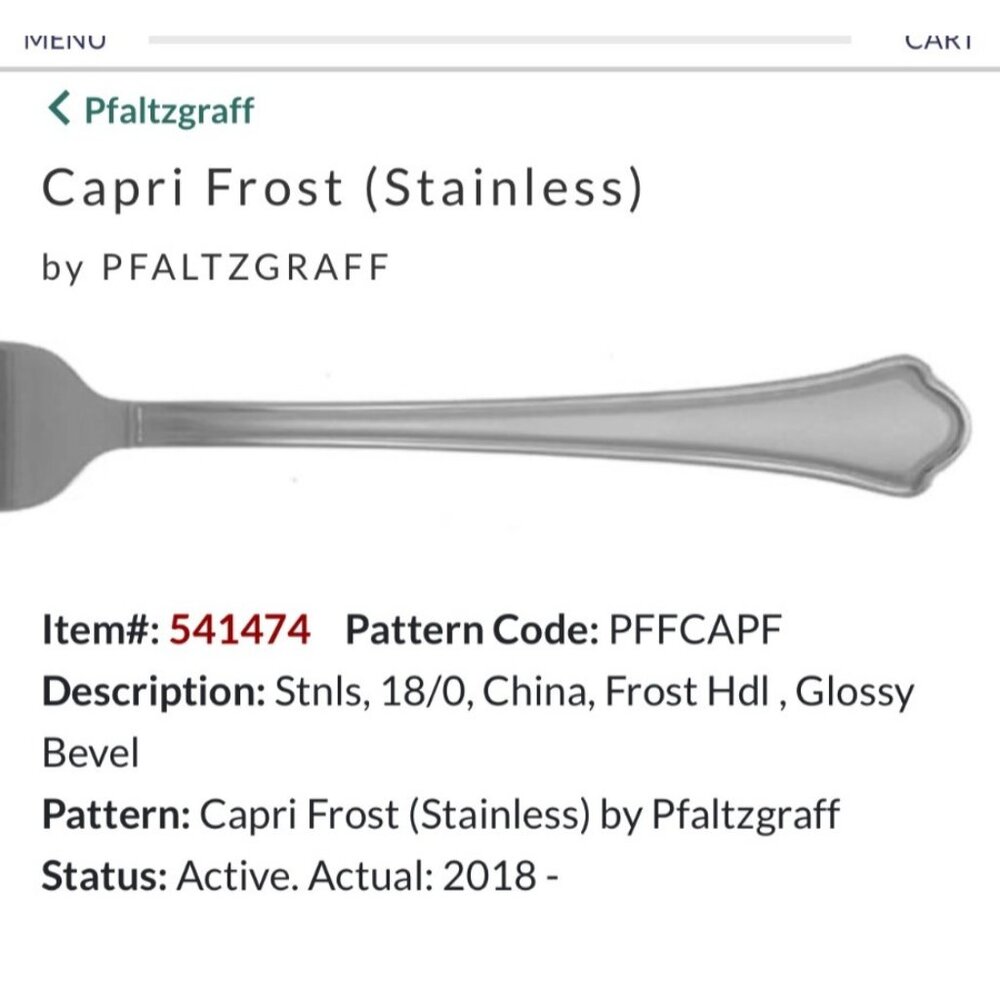 Pfaltzgraff Capri Frost Stainless Steel 4 Soup Spoon 18/0 China Glossy Bevel